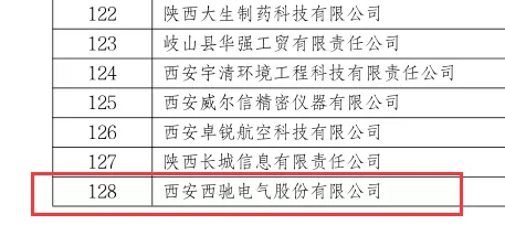 喜訊|西馳電氣榮獲國(guó)家級(jí)專精特新“小巨人”企業(yè)(圖2)